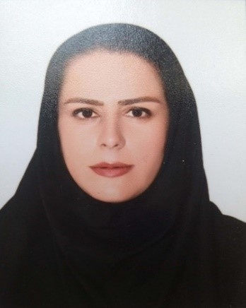 مهندس گودرزی